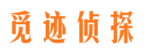 东丽市侦探调查公司